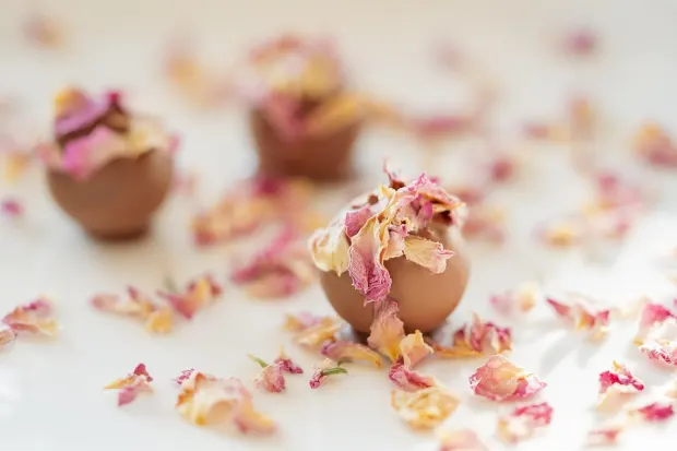 Pedalada10 Kazino Android/iOS Lietotne